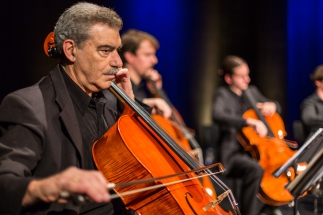 Ensemble 8Celli