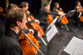 Cello-Oktett02-2017-42